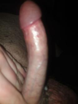 gonodor
