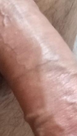 nativestud4u picture