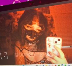 dumbditzydog picture