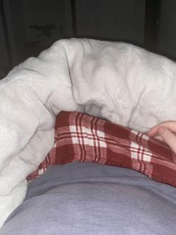 sharkythebot picture