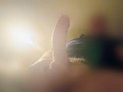 carlspick picture