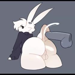 photo de snowy